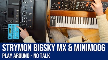 Strymon BigSky MX & Minimoog Model D Play Around - No Talk