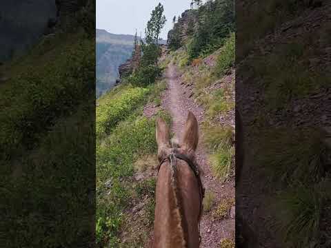 Horse Trails of America, HTA.horse: Glacier National Park, Montana. Cut Bank Trailhead