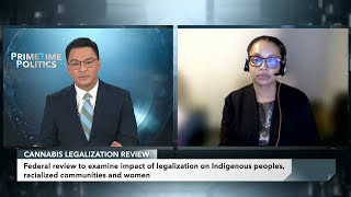 Cannabis Amnesty executive speaks with Michael Serapio about review of federal cannabis laws