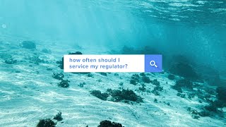 How often should I service my regulator? | Answered | @simplyscuba @simplyscuba