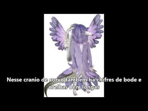 Que animal é a Fairy? - Que animal é a Fairy?