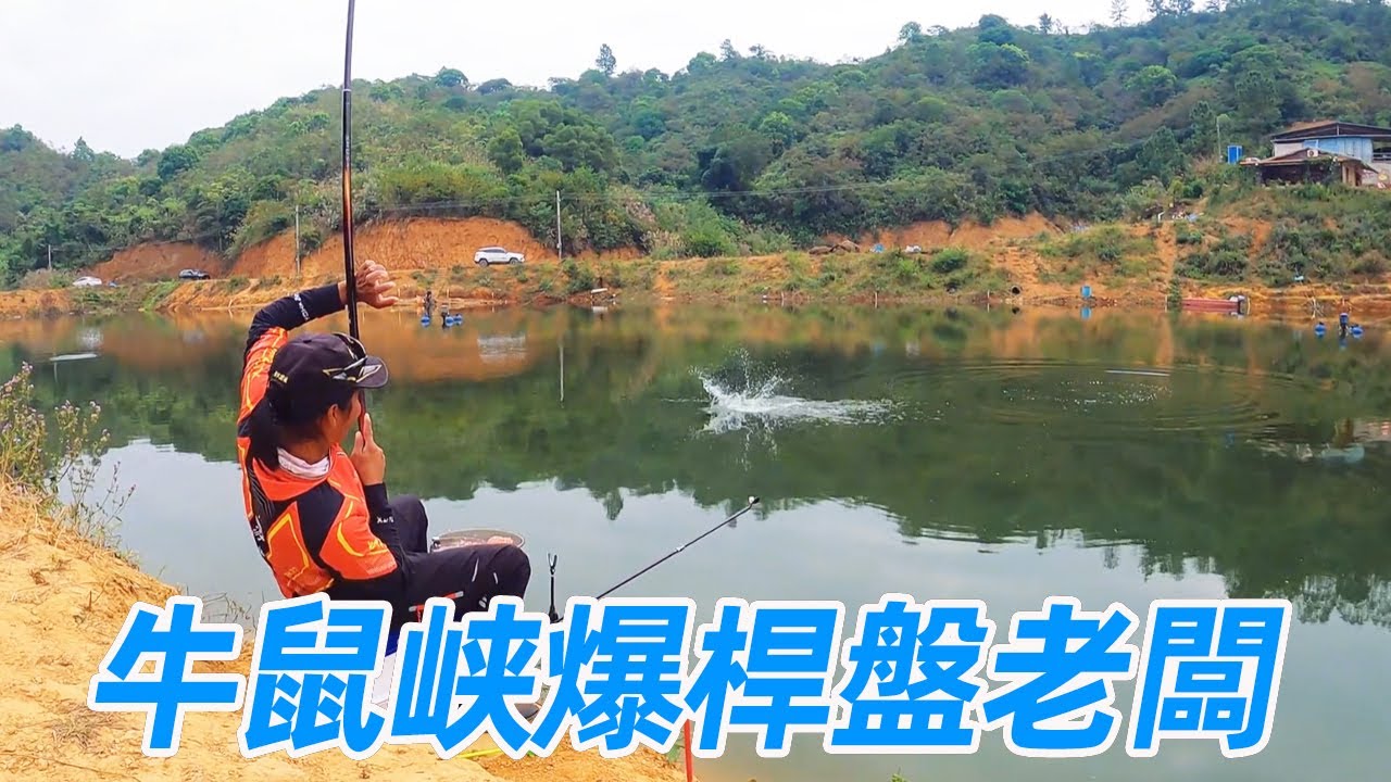 牛鼠峡老闆指定魚竿，瘋子爆桿挑戰，鰱鳙直接爆護！【游钓黑坑—疯子】