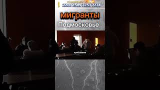 Смотри тут, выявили и выдворили из РФ #мигранты  #shorts