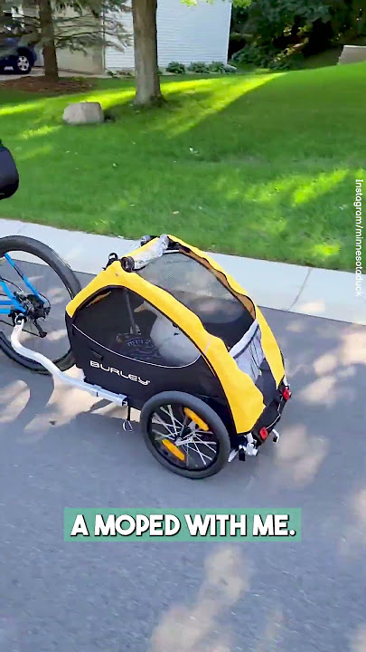 Meet the top-notch duck drummer! 🦆🥁 #shorts   #DrummerDuck #QuackBeats #FeatheredRhythm #drummerlife