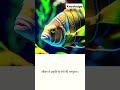 FACT ON FISH #ai #funny #youtubeshorts #viral #shortvideo #shortsvideo #reels #trending #shorts