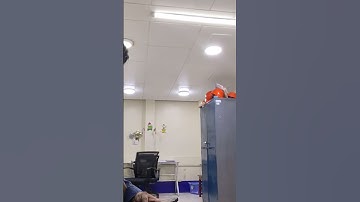  (AC-S03) Week 03 - Task: Assignment - How old are you? (PA1)