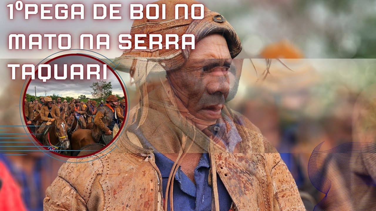 1⁰ PEGA DE BOI NO MATO NA SERRA TAQUARI JARDIM CEARÁ ORG PELÉ APOLINÁRIO E ZÉ VAQUEIRO 