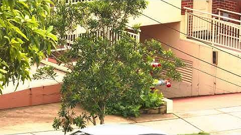 REC2020,ST2084-1000NIT=HDR10.