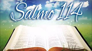 Video thumbnail of "Salmo 114 Caminare en presencia del Señor (Francisco Palazon)"