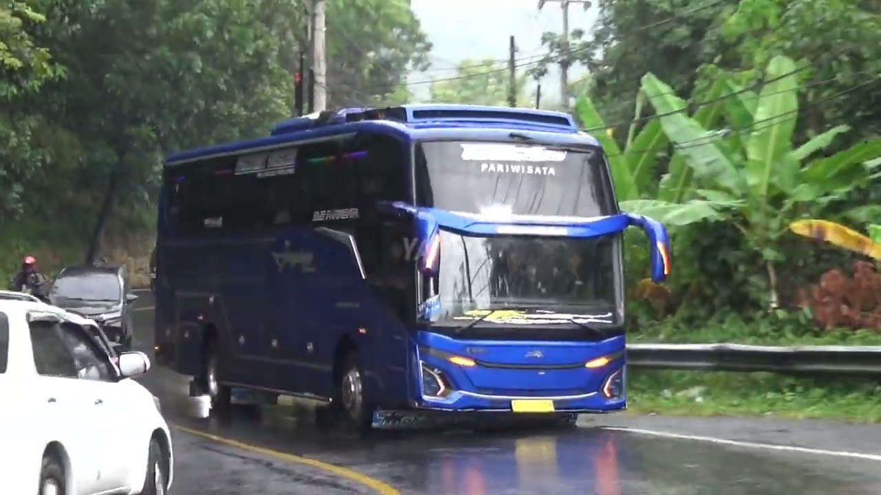 Hunting bus telolet Basuri jangulee Bilqis dan bus artis lainya