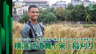 【ミツハシライス・横浜武道館・横浜エクセレンス】3者連携企画‼️横濱武道舞(米)稲刈り🌾💚(クーリバリ セリンムルタラ)
