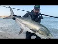 We fished in morocco and caught plenty of leerfish