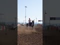 #nsca #omoksee #horse #rodeo #westernmedia #western #westernriding #aqha #youtubeshorts #subscribe