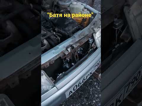 Сигналы батя на