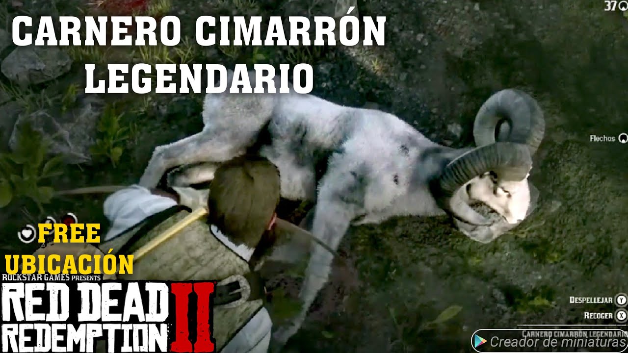COMO CAZAR CARNERO CIMARRÓN LEGENDARIO RED DEAD REDENTION 2 MODO HISTORIA