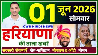01 June 2026 Haryana News || हरियाणा की ताजा खबरें || Haryana Live News || CWB Hindi News