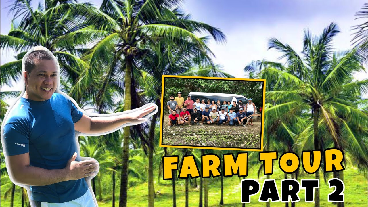 ANG HINDI INAAKALANG PAMANA AT ANG ALAALA NI LOLO | 200, 000 SQM MORE OR LESS | PART 2 | JUREN COLMO