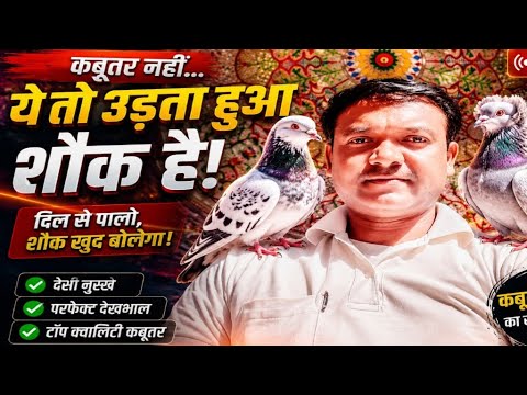 Sanjay kumar Pigeon lover  is live!