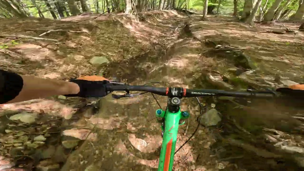 MOCCONE 03 05 2025 03