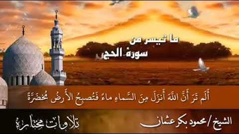 الشيخ محمود بكر عثمان مسجد الحديد والصلب تلاوة ما تيسر من سورة الحج