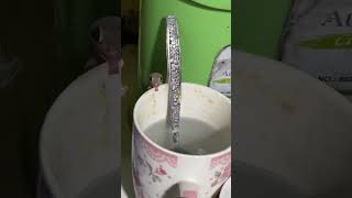 Gecko Caught Licking the Edge of Mug