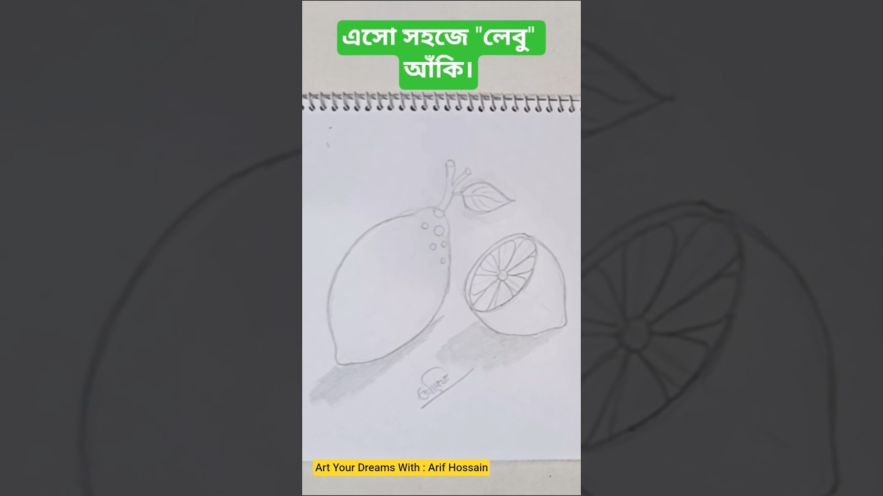 Magic খুব সহজে লেবু আঁকার ম্যাজিক 🍋 Easy Lemon Drawing 
