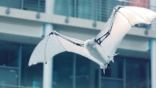 Bionic Flying Fox