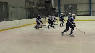 Ducks vs Wolves 20140223 BA Goal