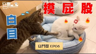 【 EP06】