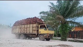 Goyangan Pacar Mu Tak Seindah Goyangan Ragasa Ku,Pesona Truk Riau