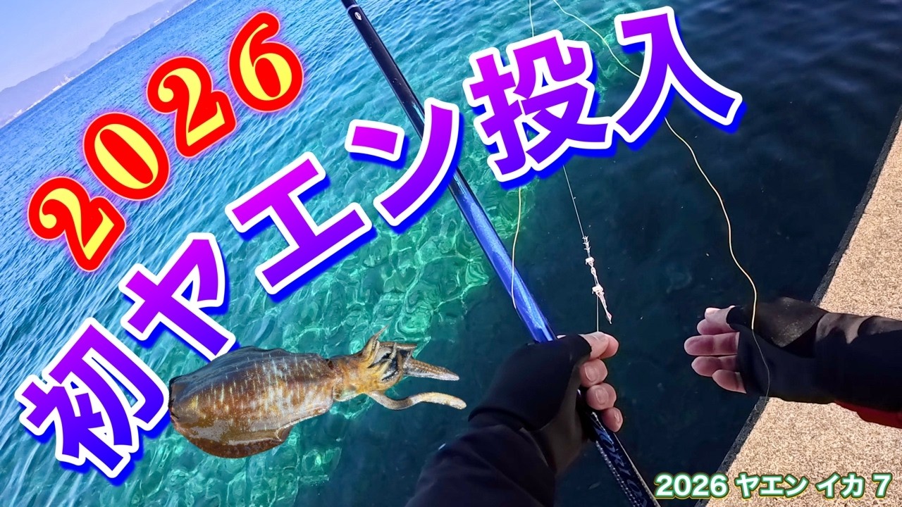 2026 ヤエン （イカ） 7　【2026 初ヤエン投入】