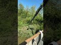 Excavator tree work under bridge with LBG TELESCOPIC BOOM + GSA Harvester OMEF in action! #boomarm