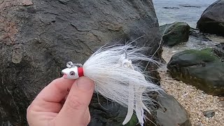 One Jig and Strip Caught 43 Bass on a Rocky Beach!