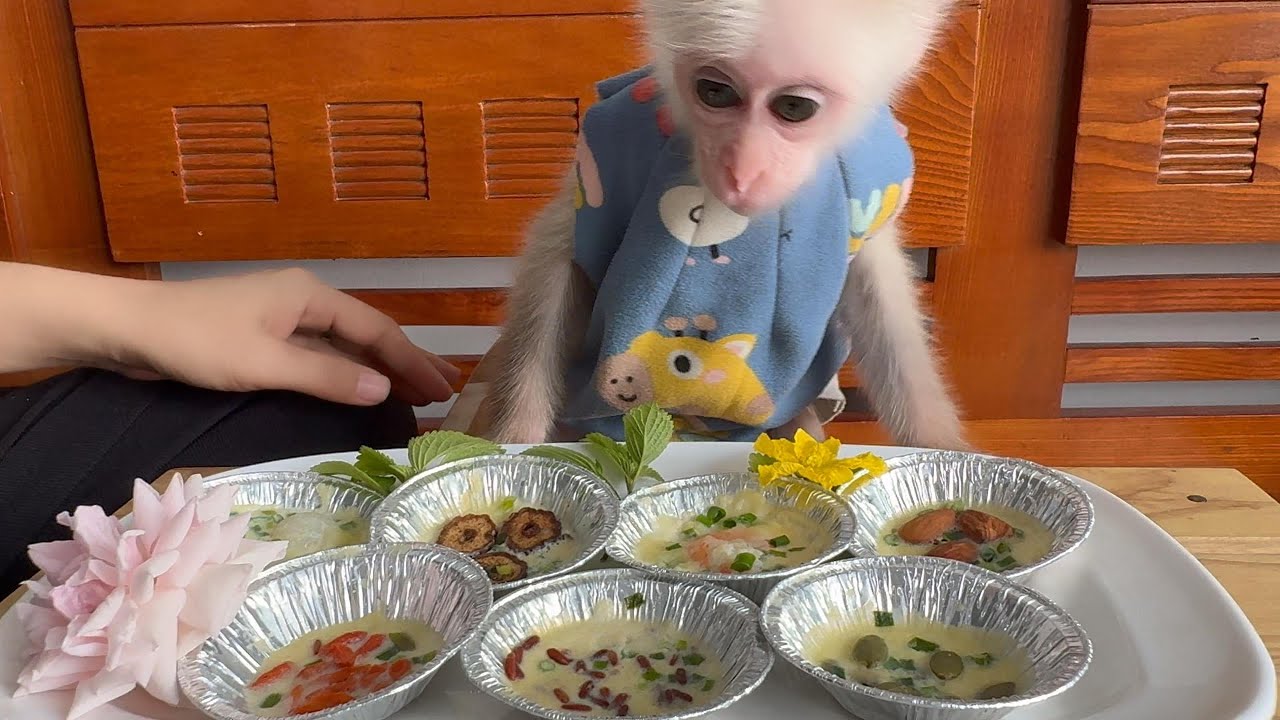 Monkey Baba Can’t Believe These Cakes 🐒✨