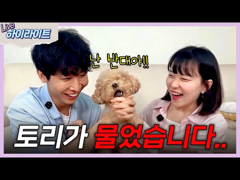 토리에게 처음 물렸습니다.. 이게 뉴스 1위에 올랐습니다 thumbnail