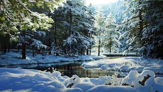 Зимние сказочные пейзажи художника Виктора Юшкевича
