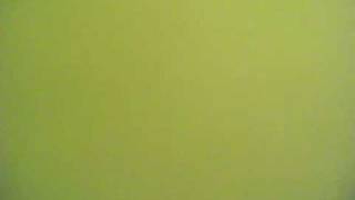 Capture 20090604