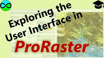 Exploring the ProRaster User Interface
