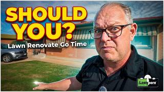 When to Renovate Your Lawn?