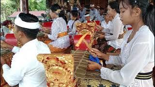 Tabuh Gong Rahine Purnama Kapat 2022 || seke gong Peradah || Gamelan Bali