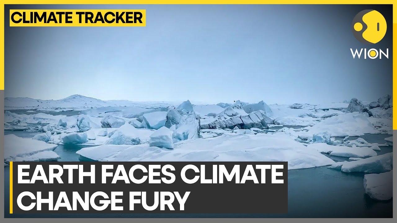 Alarming results of glacier retreat due to global warming | WION Climate Tracker