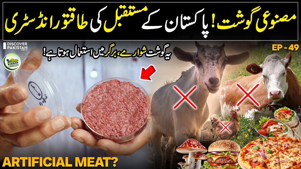 Artificial Meat? | How To Grow Mushrooms At Home | Earn Millions of Rupees | Kissan Ka Pakistan