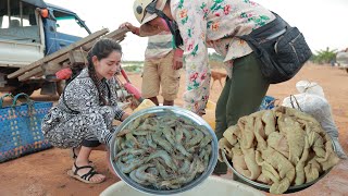 Buy shrimp for crispy yummy, delicious pig intestine stew mustard green pickle and fermented shrimp