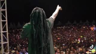 born in Africa by Rasta charz 2023