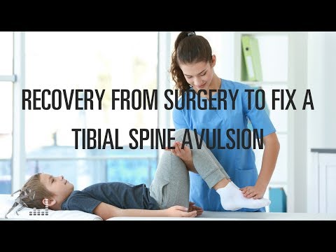 What is the recovery from a tibial spine avulsion?