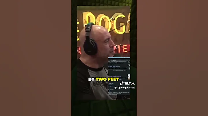 Uncovering the Massive Snake Species Found Only in the Congo