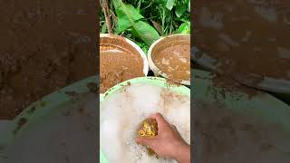 kalau Kau Sukashorts funny funnycutebaby