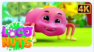 incy wincy spider popular nursery rhyme more music kid s