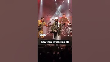 🎤 “The Most Unexpected Rock Band in History (AI Generated Parody)