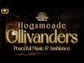 90 min Deep Focus📖 | Ollivanders in Hogsmeade, Music & Ambience | Harry Potter